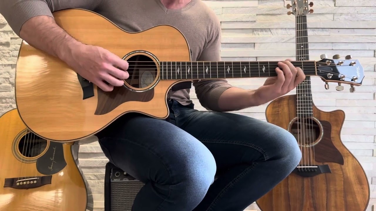 Taylor 814 V Class