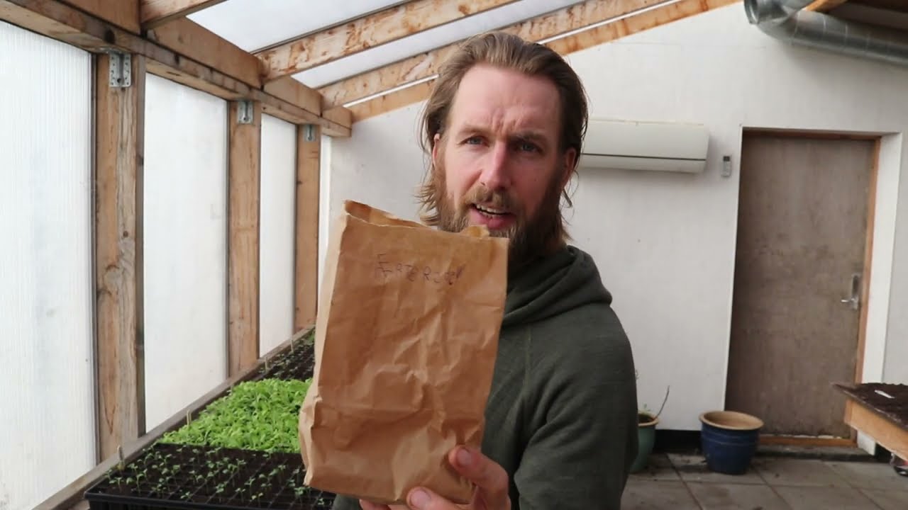 MARTS MÅNED I KØKKENHAVEN (det er nu at det sker)