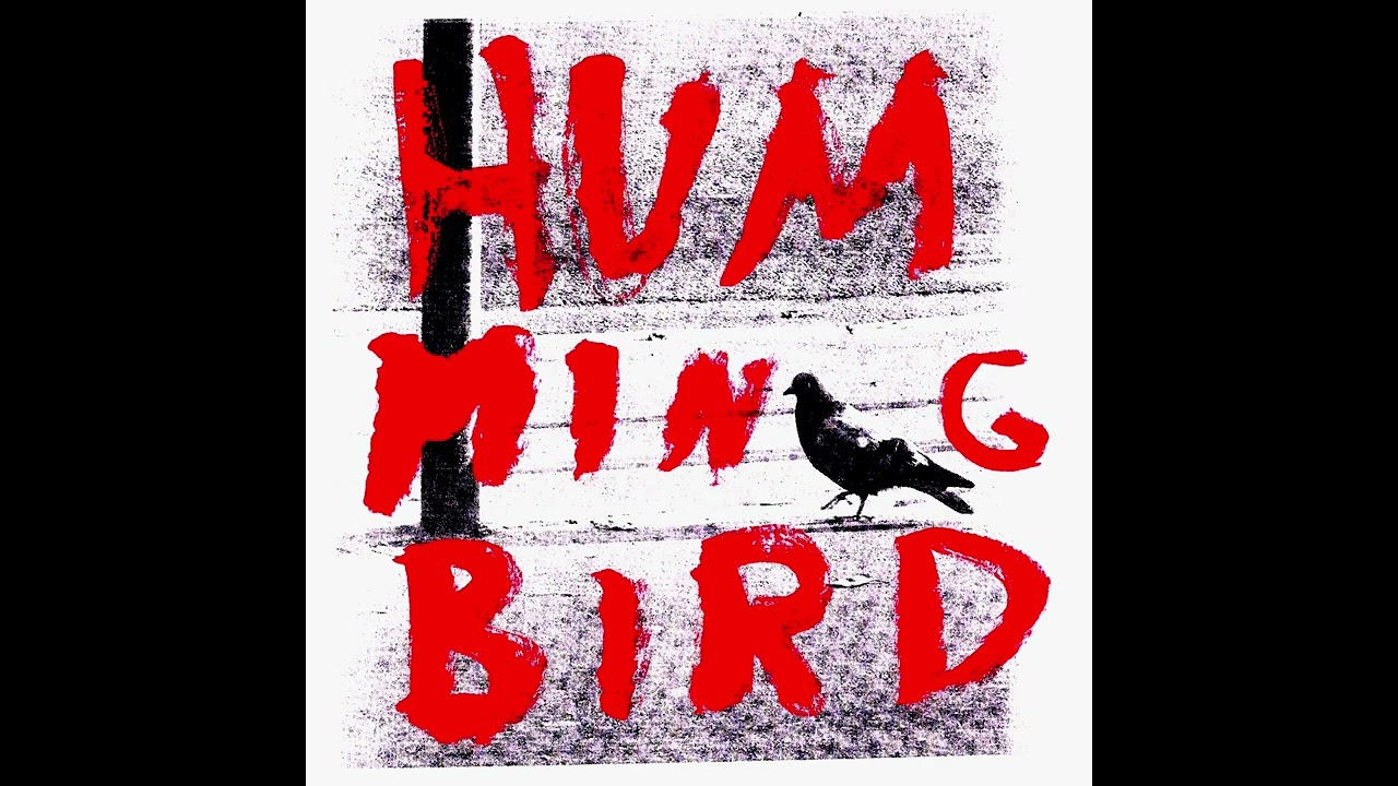 j ember - Hummingbird (Official Music Video)