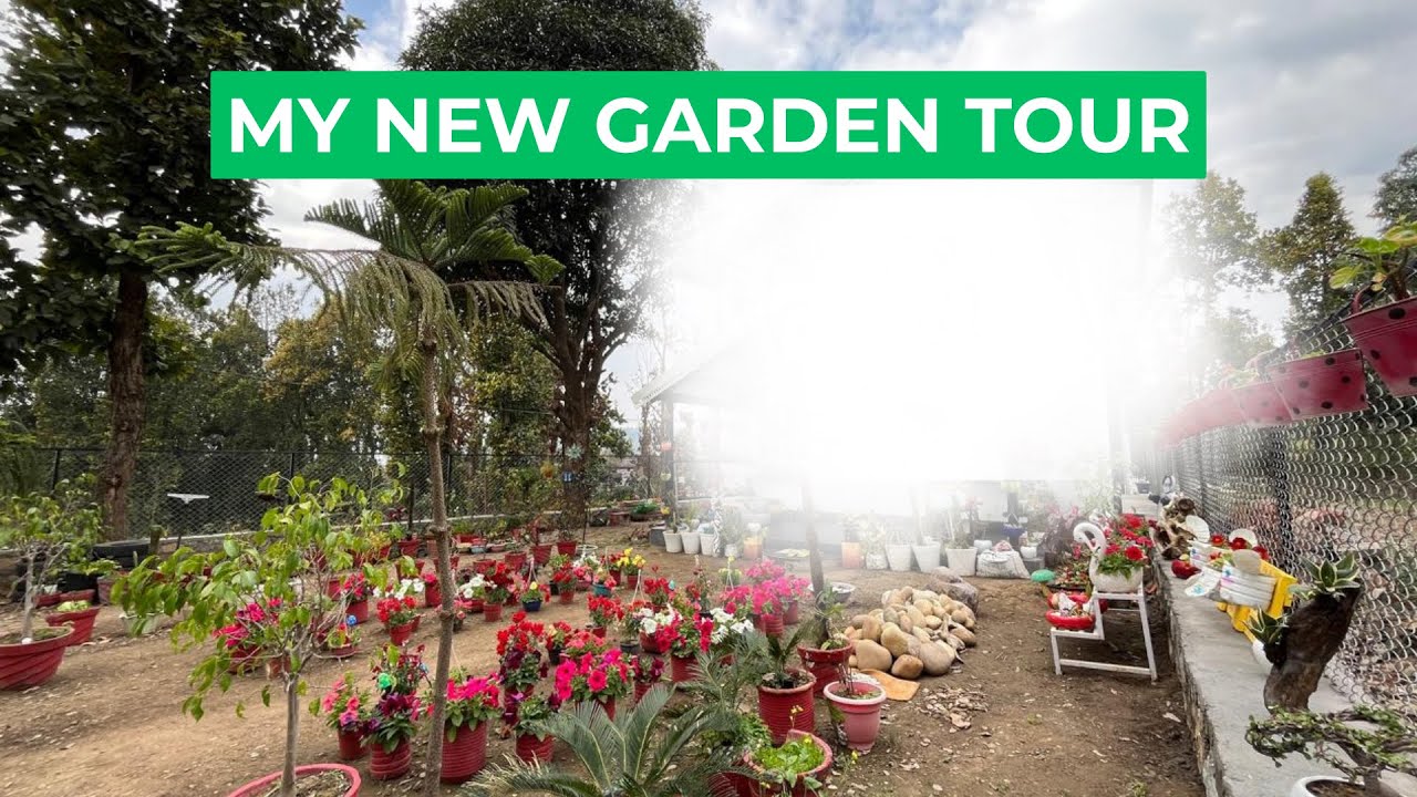 Finally! Mere Dream Garden ka First Look Reveal 🌿 | Village Garden Tour