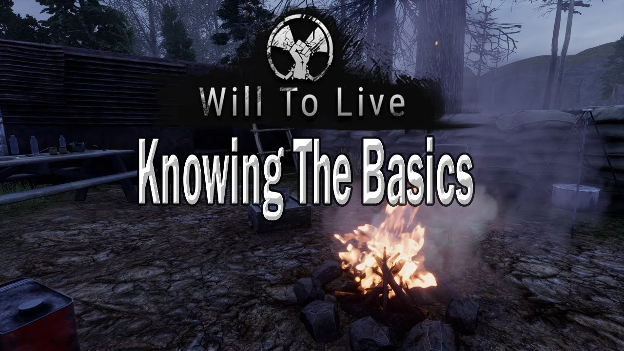 Will To Live Online: Starting Basics