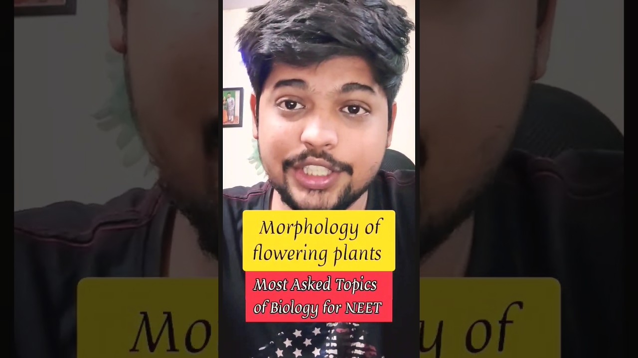 Morphology of flowering plants - Most Asked Topics for NEET ! 