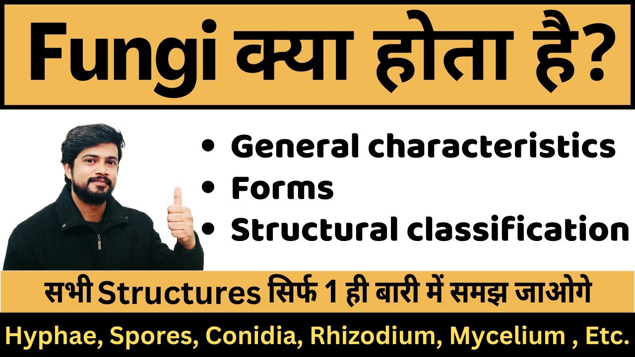 Fungi - Characteristics | Structure Classification | Microbiology | Bsc Nursing | Pharmacy | Hindi