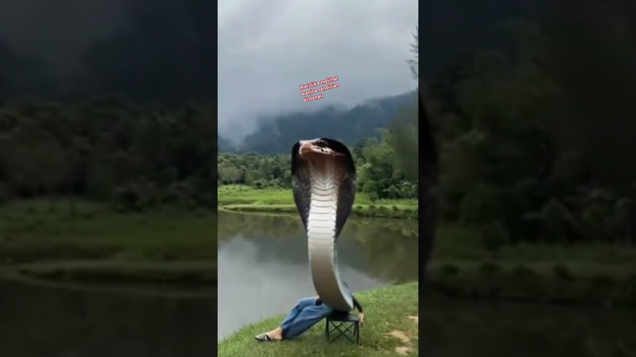 misteri penunggu danau angker #shorts #jalanyangjauhjanganlupapulang
