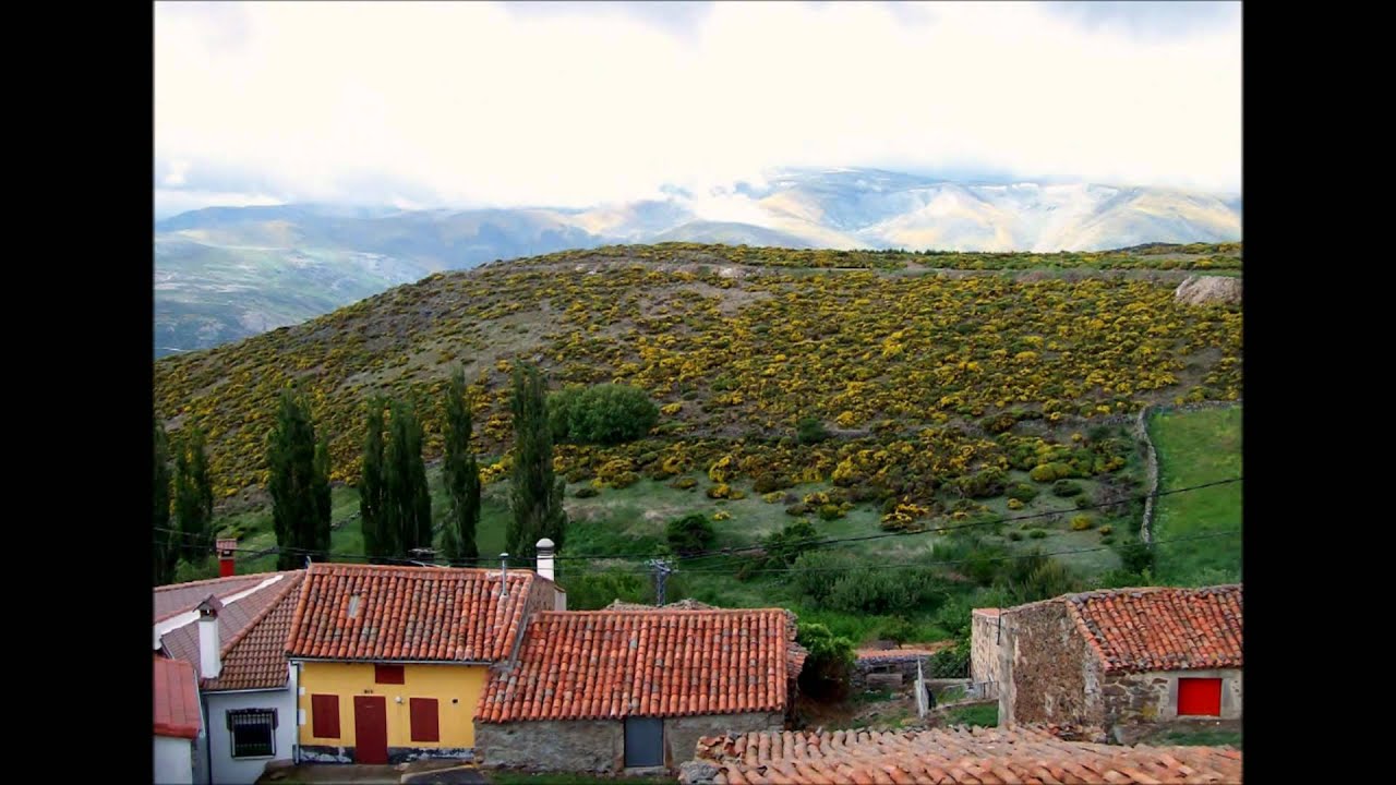 Navasequilla 2010