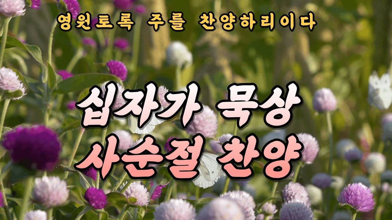 사순절 묵상 찬양 | 마음을 새롭게 하는 기도 시간