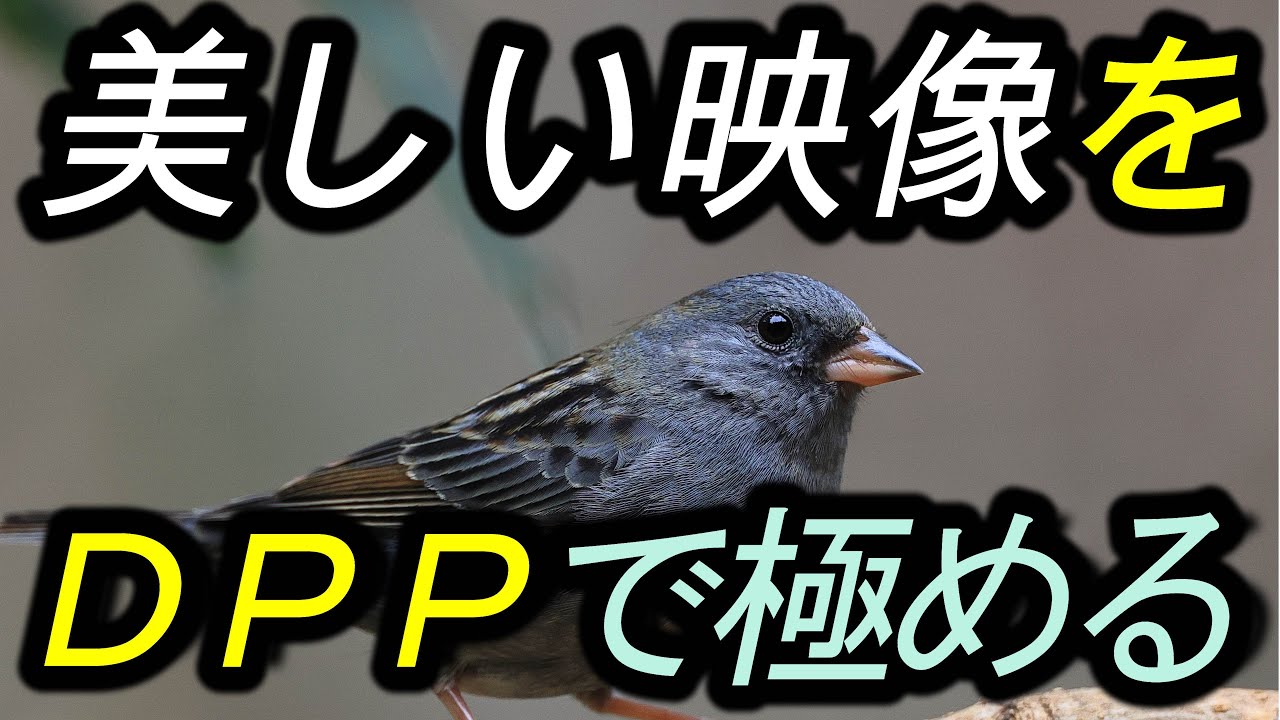 ＤＰＰ入門　Digital Photo Professional 4  を極める・・・。