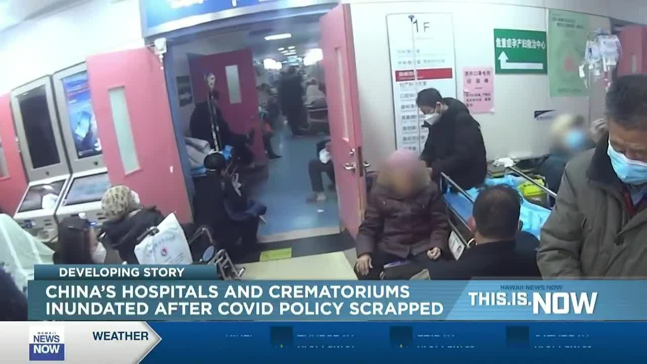 The UN has accused China of Underreporting the death toll from its ongoing COVID outbreak