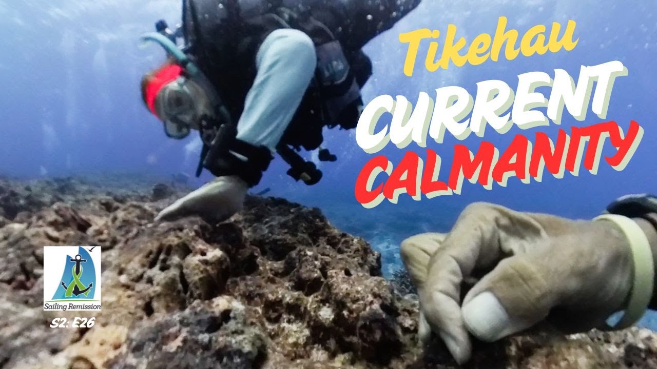 Tikehau Current Calamity
