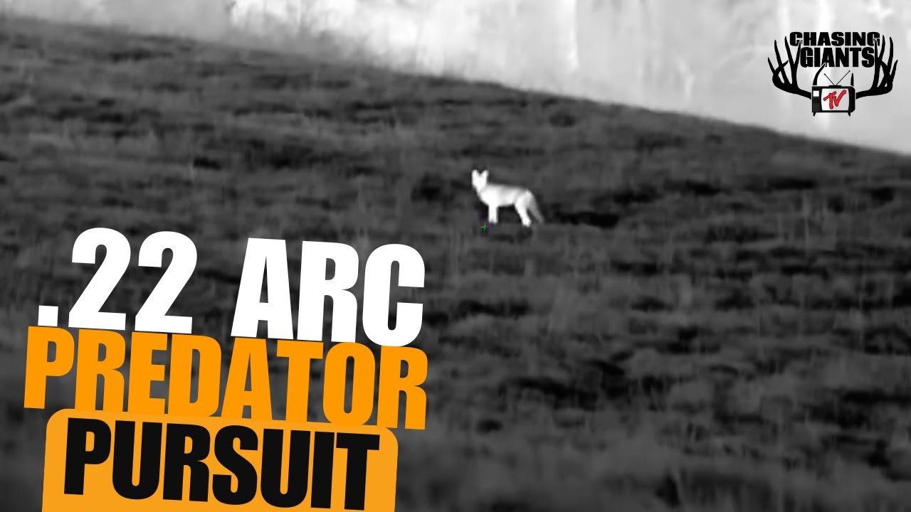 Nighttime Coyote Hunt | 40 Coyotes Down with the .22 ARC!