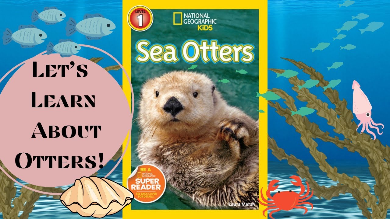 Sea Otters | Kids Book Read Aloud | Non Fiction Books