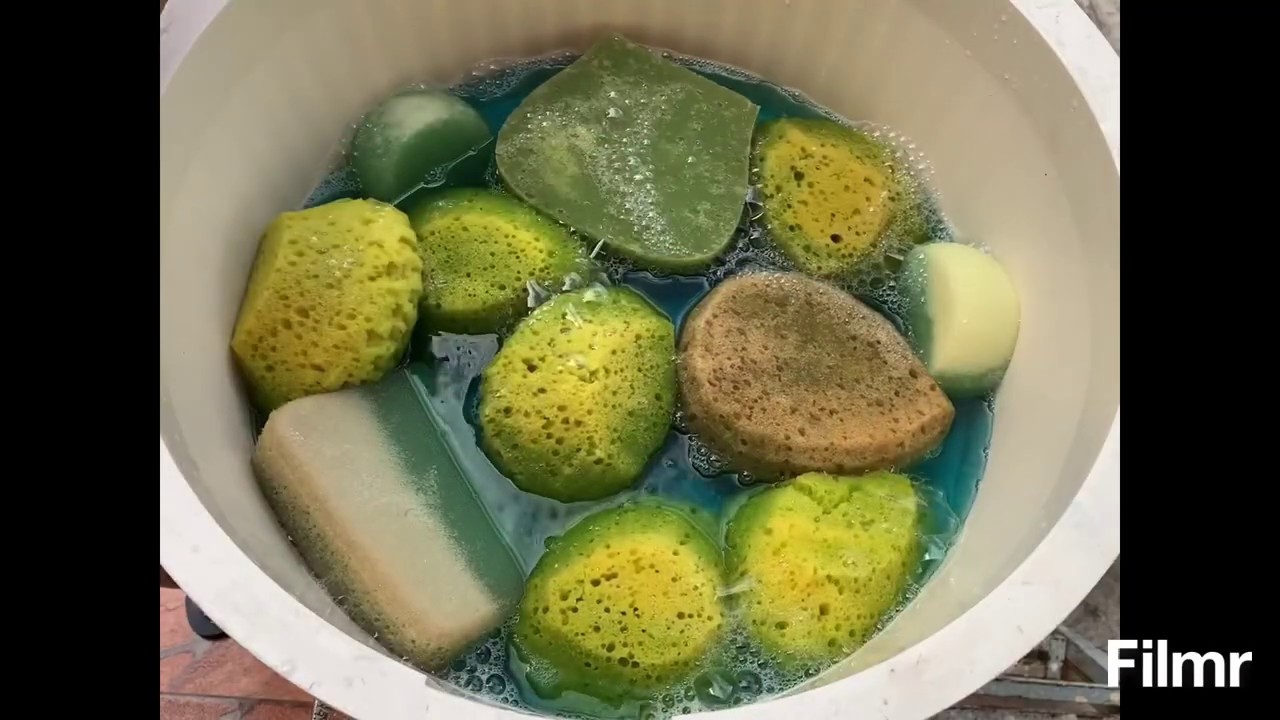 ASMR - Esponjas com “Água Magica” 💛💙💛sponges with “Magic Water”