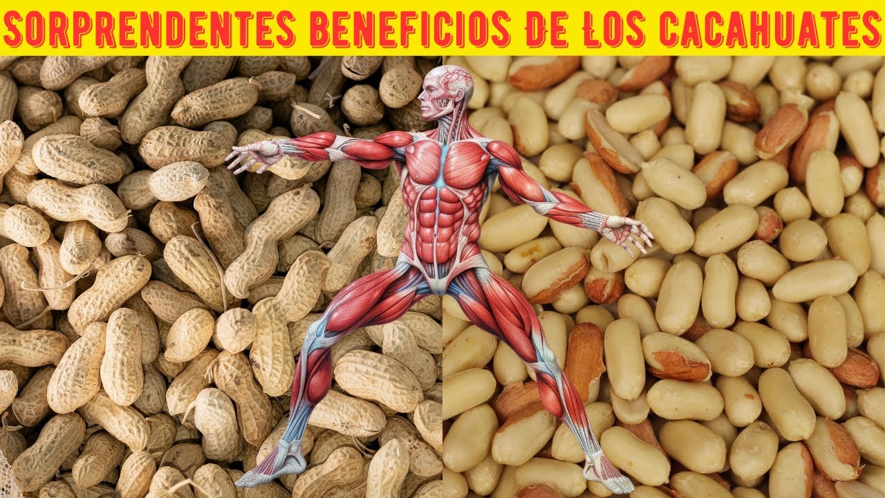 Sorprendentes Beneficios de los Cacahuates,10 beneficios de los Cacahuetes Para La Salud