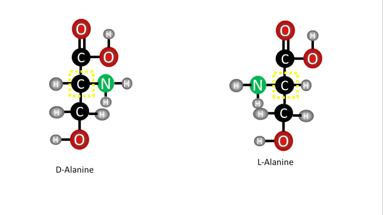 Biochemistry | D-  and L-  Enantiomers of amino acids