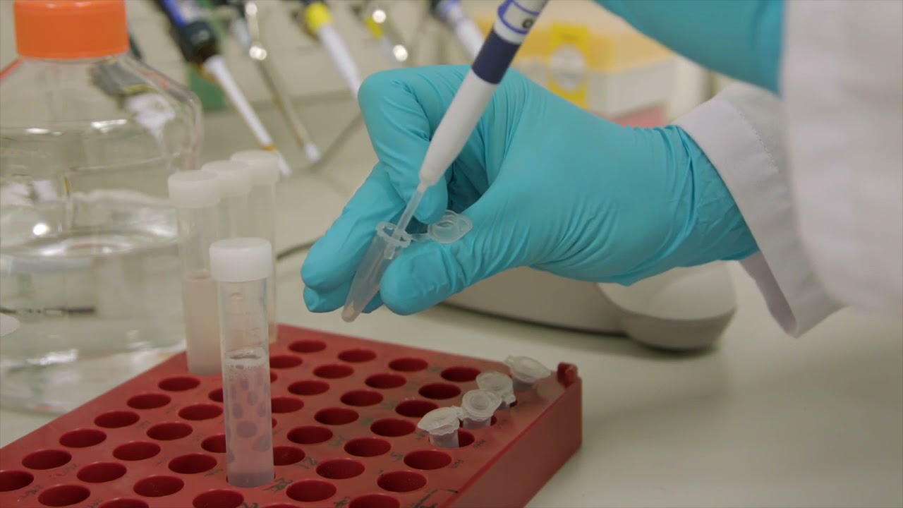 Quay Pharma: Live Biotherapeutics CDMO