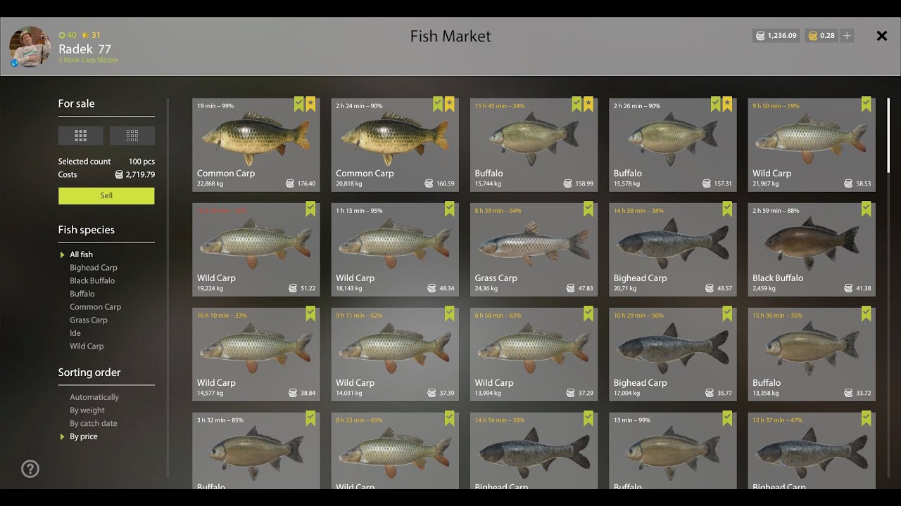 Russian Fishing 4  |  Spod , Marker  |  Buffalo  |  Common Carp  |  Akhtuba River