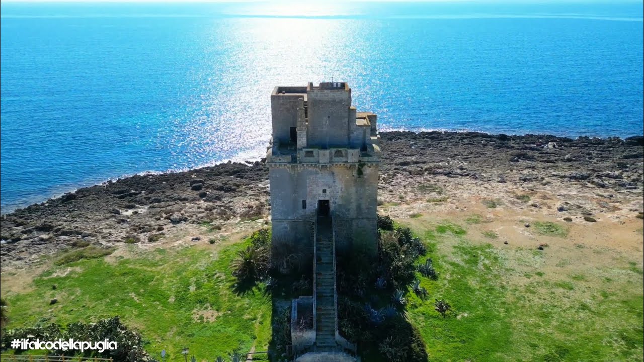 Torre Colimena - IL FALCO DELLA PUGLIA
