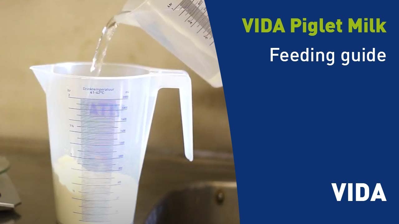 How to prepare and feed VIDA milk | ForFarmers Pig