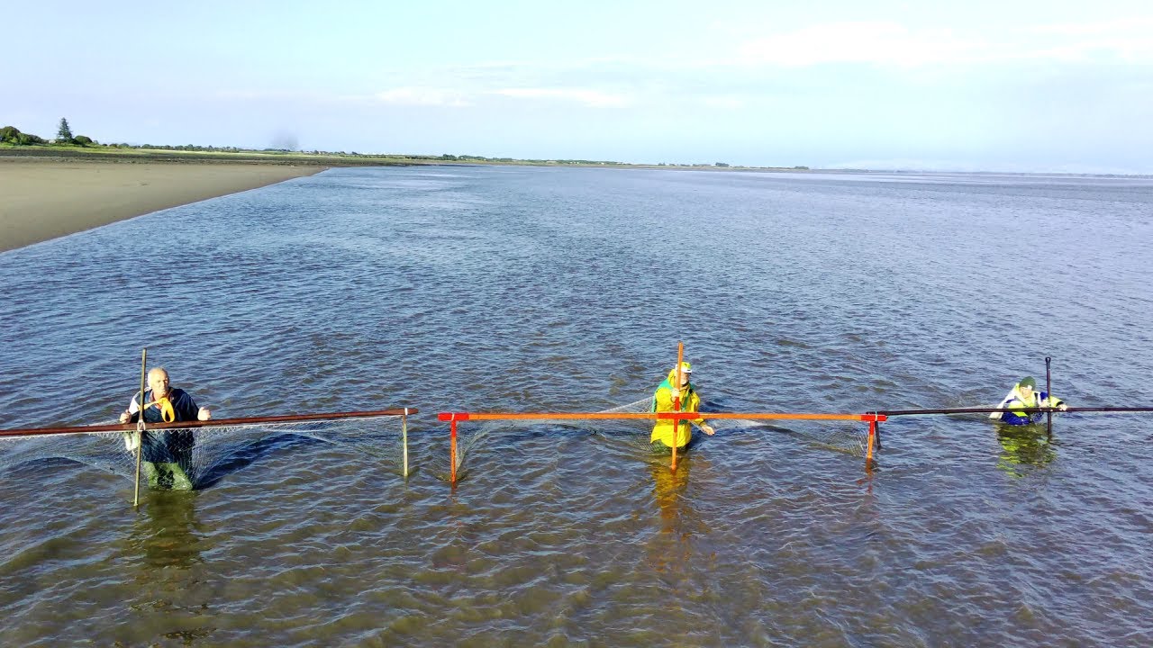 Haafnet Fishing on the Solway Firth near Annan