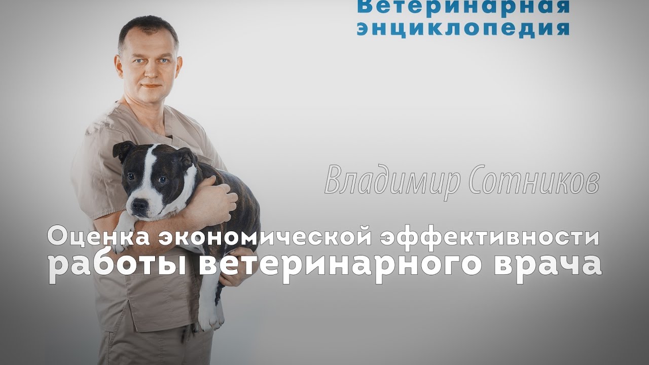 Оценка экономической эффективности ветеринарного врача