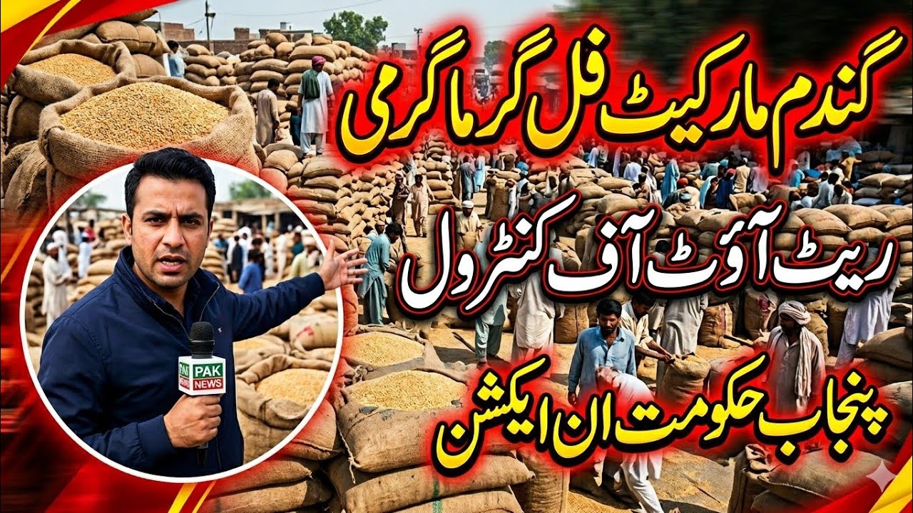 Wheat Market Heating Up! Prices Out of Control 🔴 Punjab Government in Action | Wheat Rate Today 2026