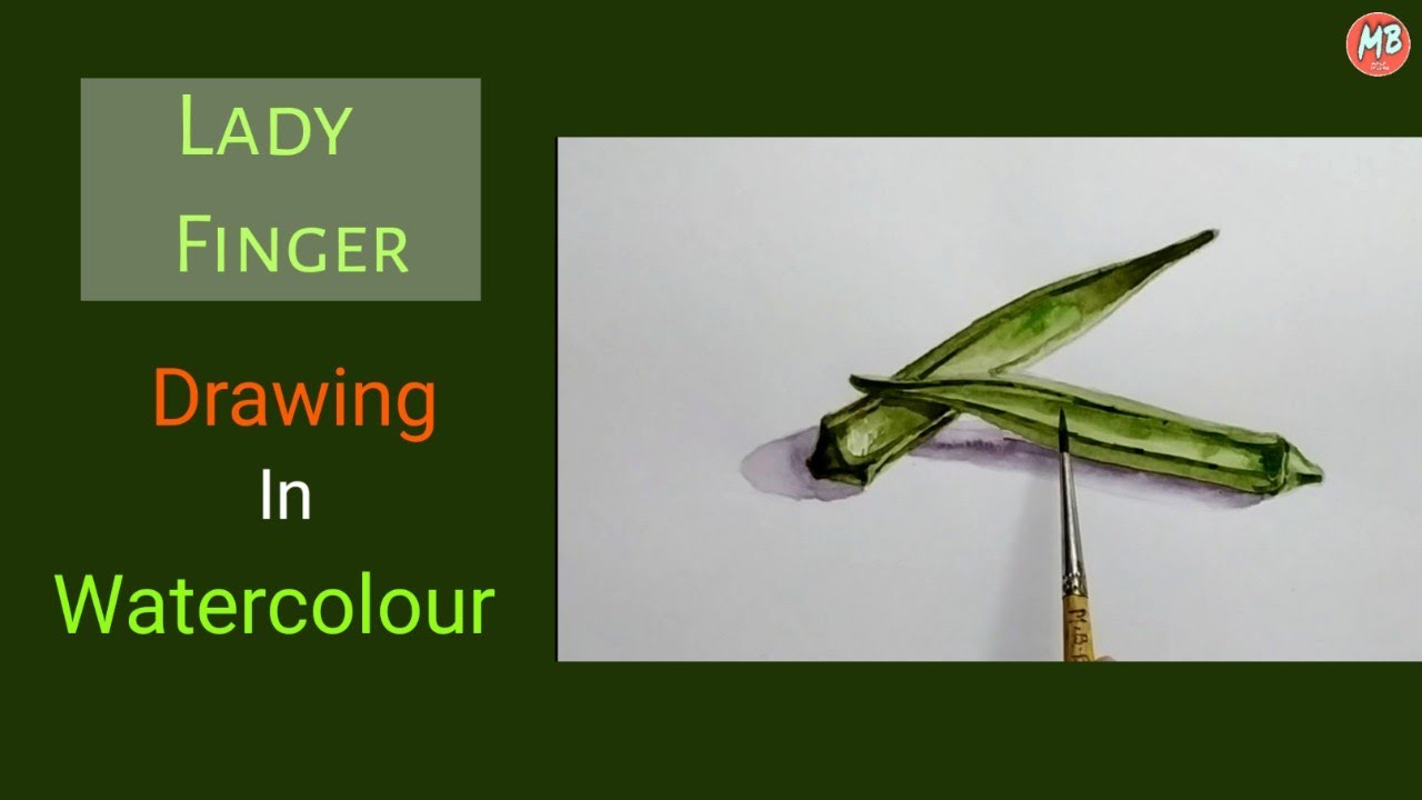 Lady Finger Drawing In Watercolour / Nature Object Drawing