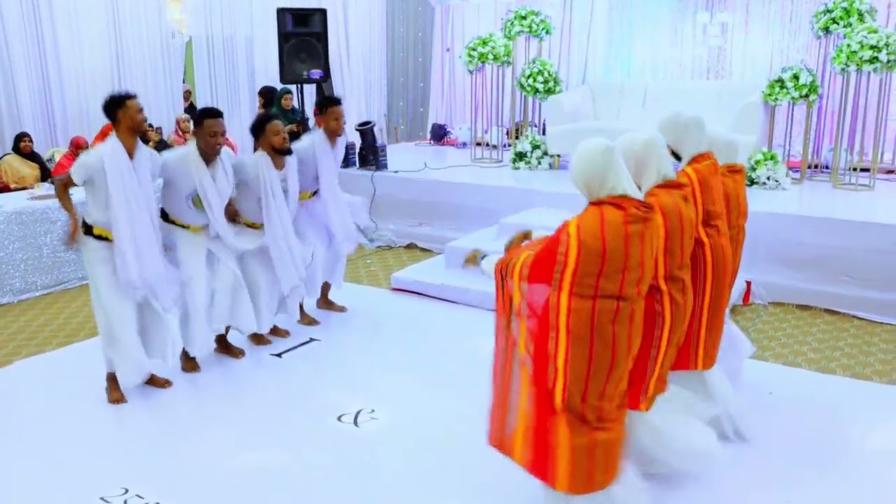 AHMED BUDUL/ DHANTO /CAGTA/ KOOXDA /HORSEED CULTURE