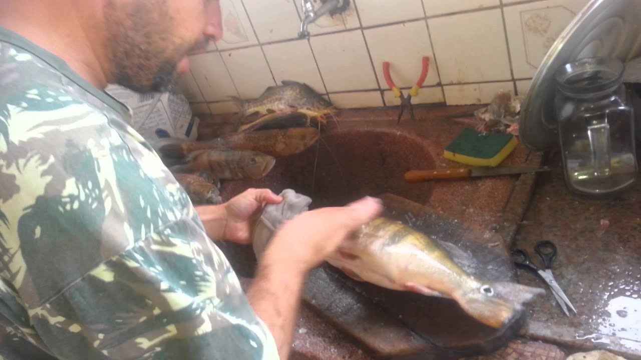 Como limpar Tucunare com Elvis Veloso e Mosa Velos