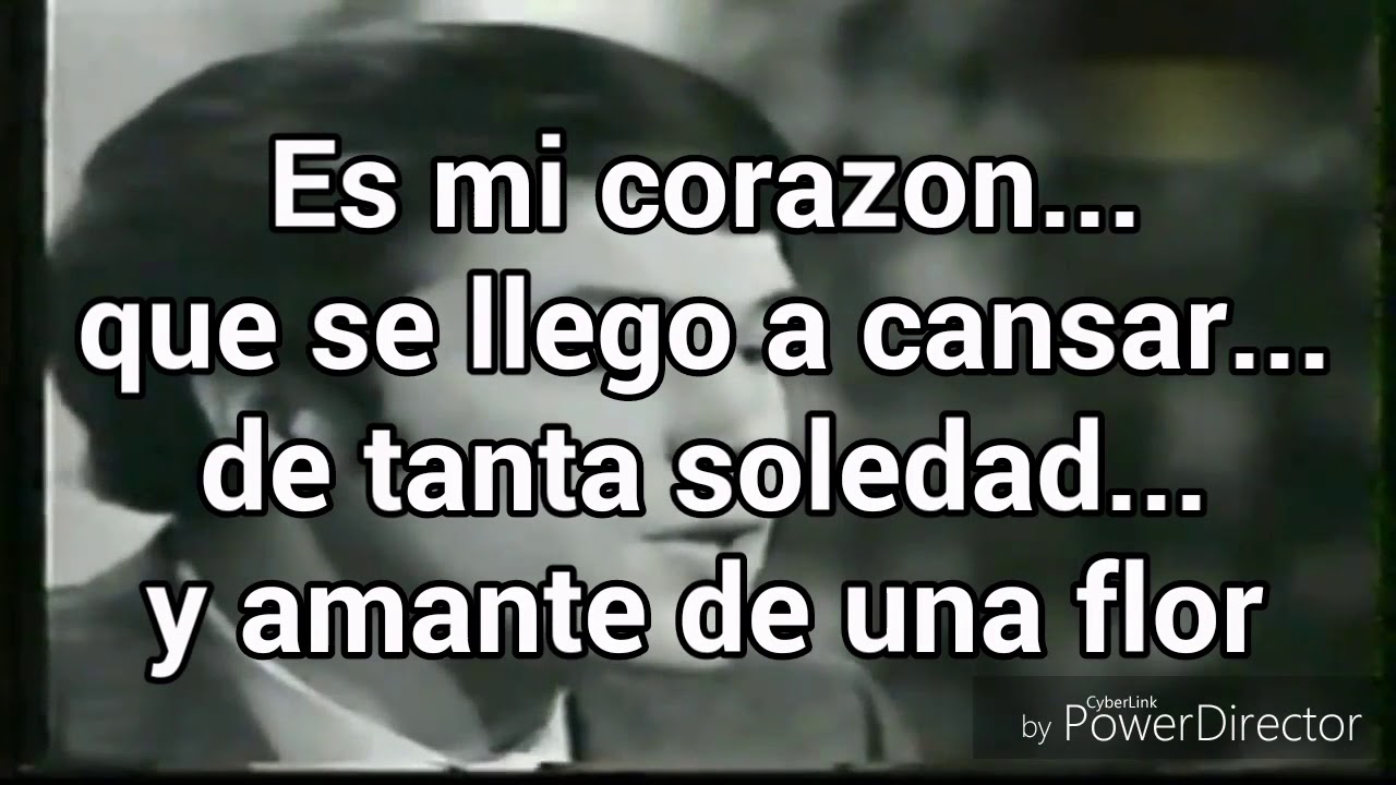 Yo te ofrezco - Adamo