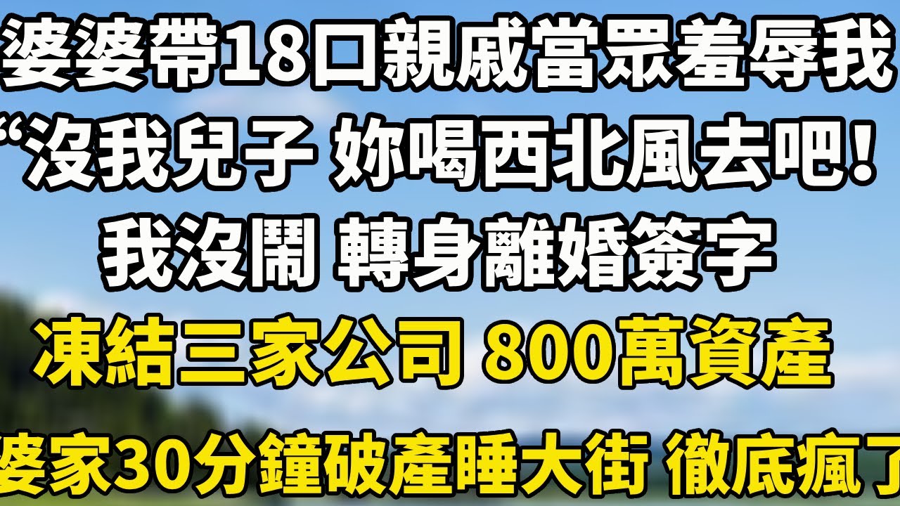 婆婆帶18口親戚當眾羞辱我，“沒我兒子 妳喝西北風去吧！”，我沒鬧 轉身離婚簽字，凍結三家公司 800萬資產，婆家30分鐘破產睡大街 徹底瘋了！#小說 #翠花的秘密 #婆媳