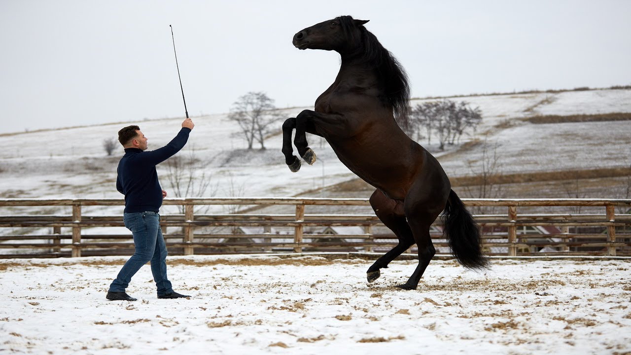 Miron Bococi la Salina Equines; sedinta foto la Turda