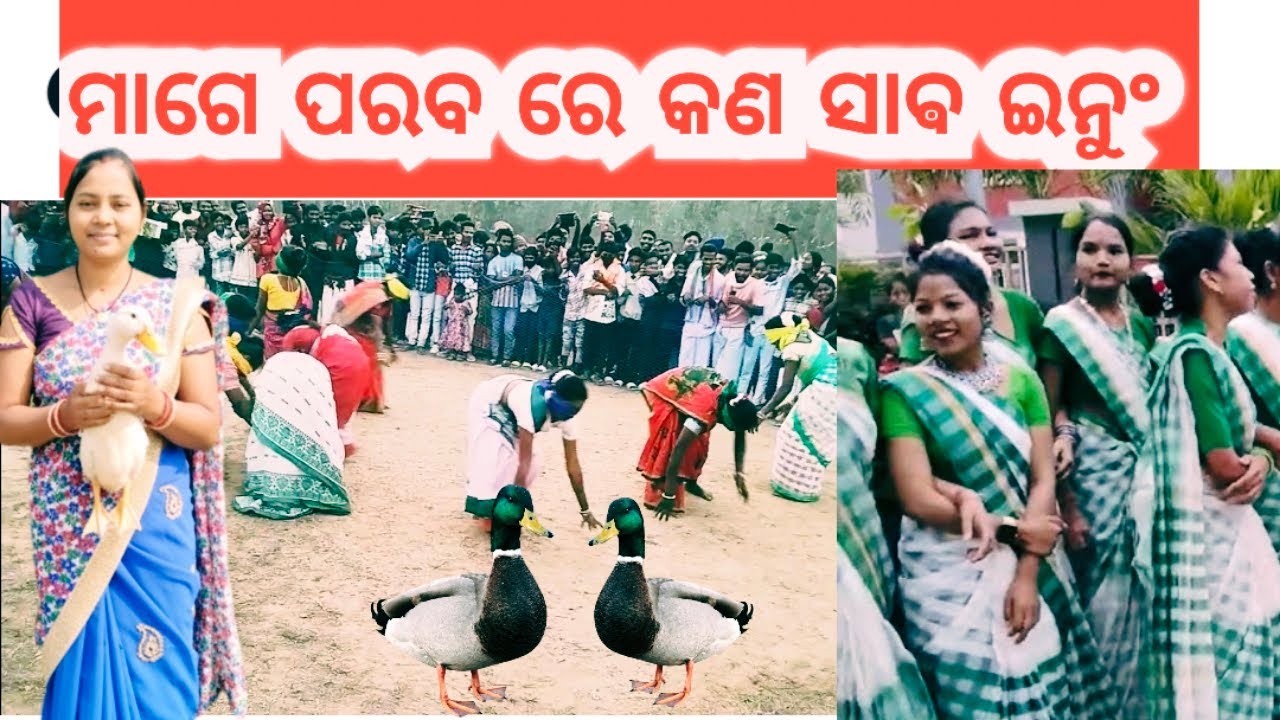 Kana sab inung||କଣ ଶାବ୍ ଇନୁଙ୍ଗ||ମାଗେ ପରବ ଯମକ ଭଣ୍ଡାର #mageparab #magefestival @hocreater