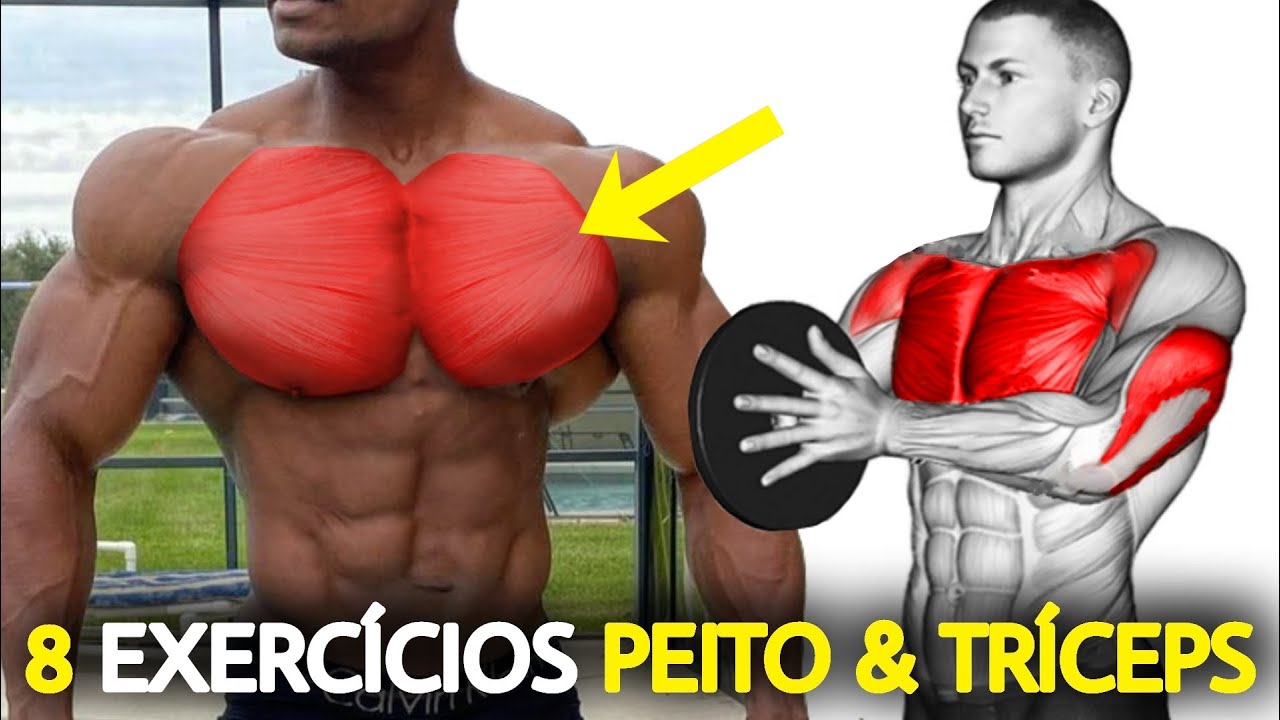 8 Exercícios Treino de Peito e Tríceps Completo - Utilizando apenas Halteres