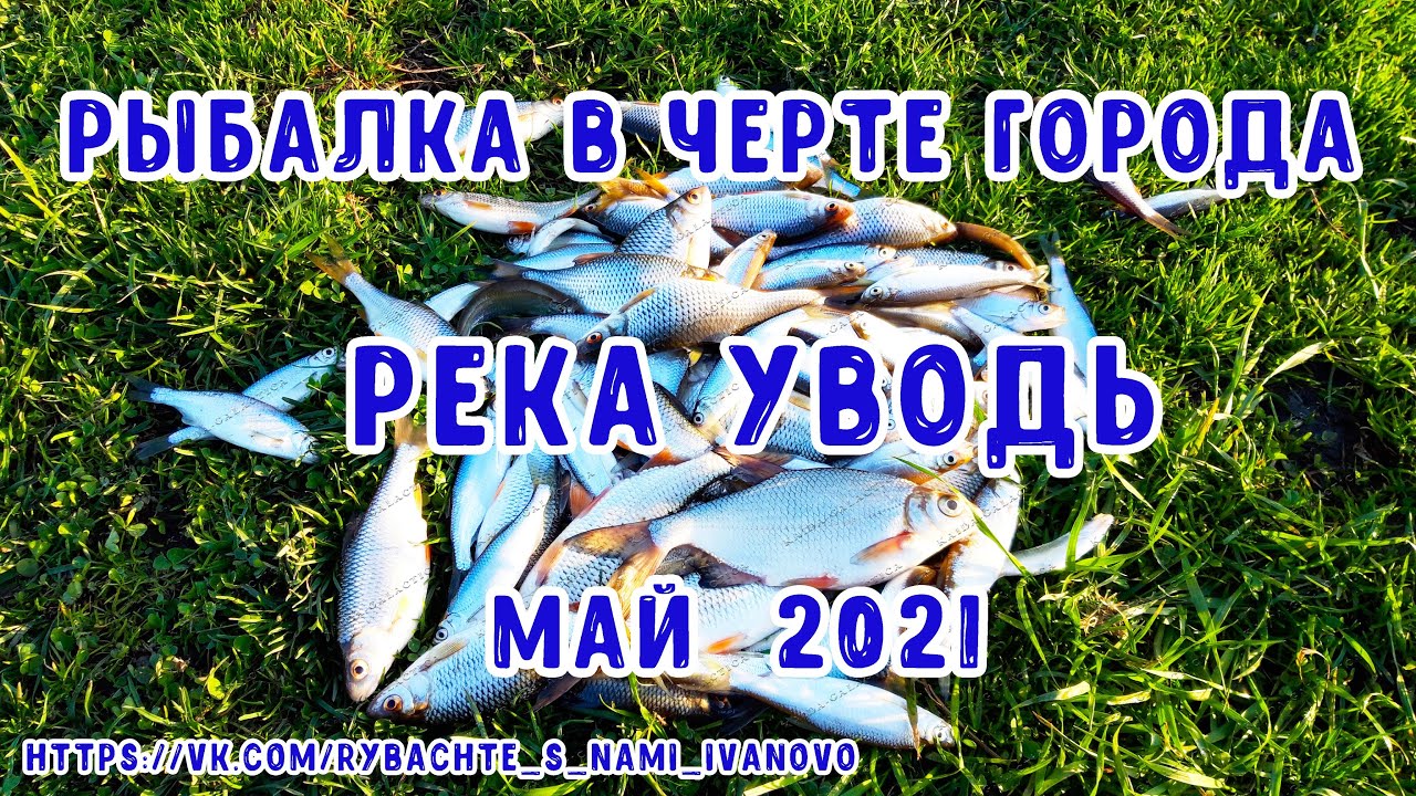 Плотва и уклейка на каждом забросе. Рыбалка в городской черте. Река Уводь, город Иваново.