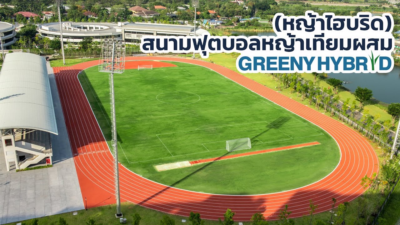 สนามฟุตบอลหญ้าเทียมผสม - GREENY HYBRID (หญ้าไฮบริด)