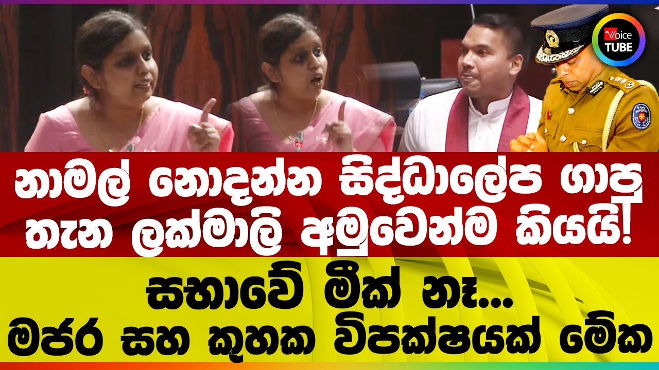 නාමල් නොදන්න සිද්ධාලේප ගාපු තැන ලක්මාලි අමුවෙන්ම කියයි! සභාවේ මීක් නෑ... මජර සහ කුහක විපක්ෂයක්