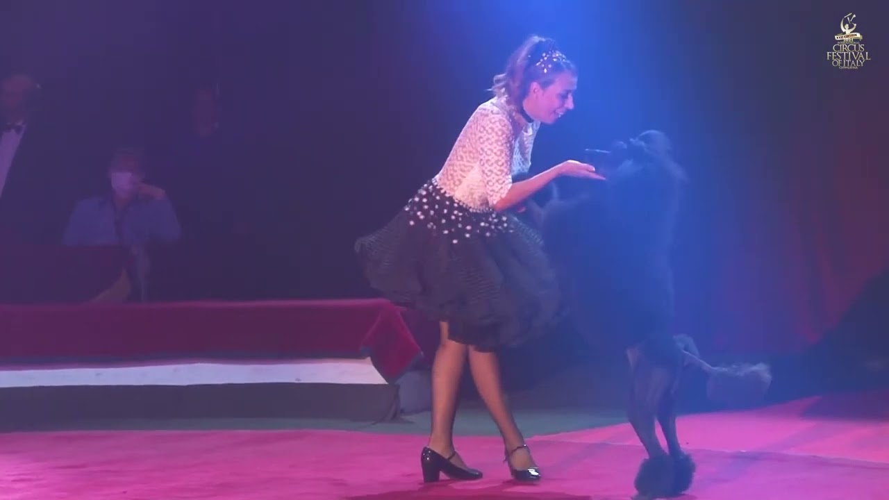 #3243- CANICHES ROYAL - Dogs act - GERMANY BRAZIL
