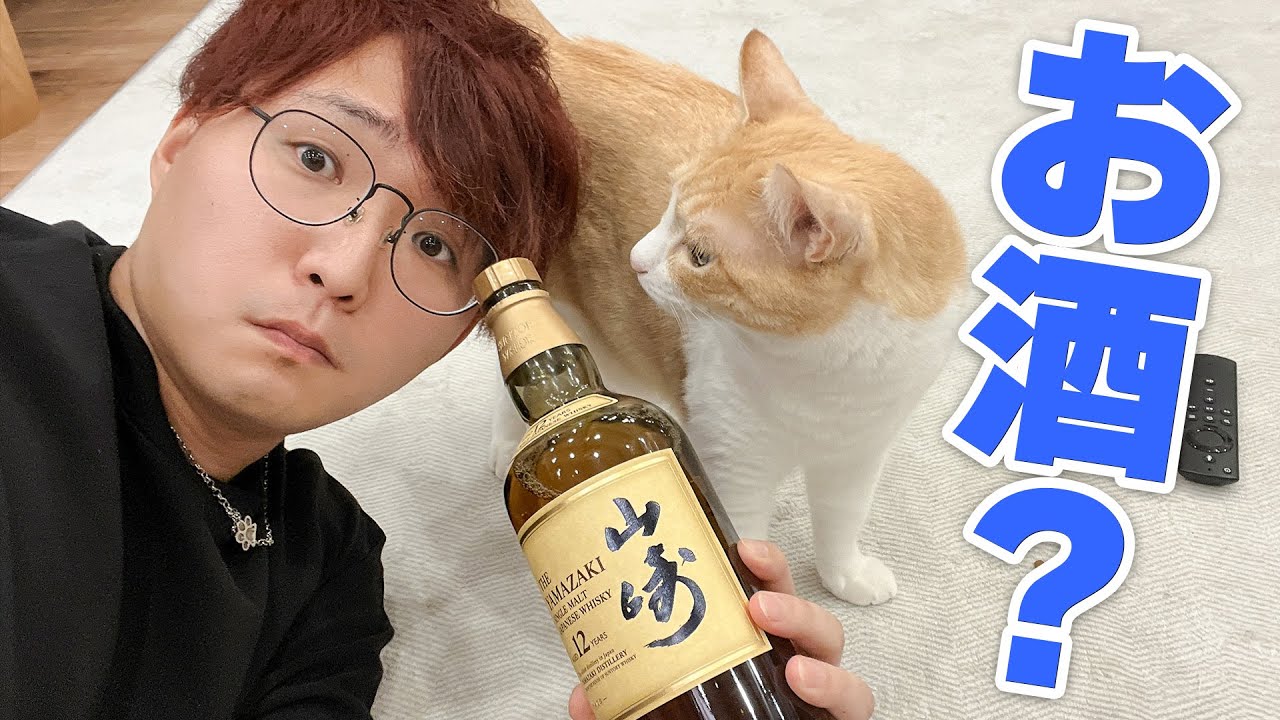 猫たちと一緒に”お酒？”っていうのものを飲んでみたいと思います