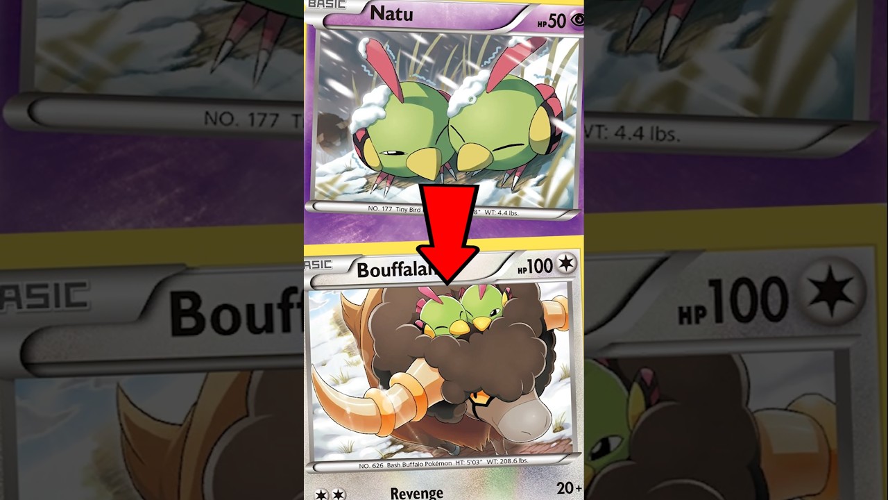 CHEAP Pok&eacute;mon Cards with a Story!