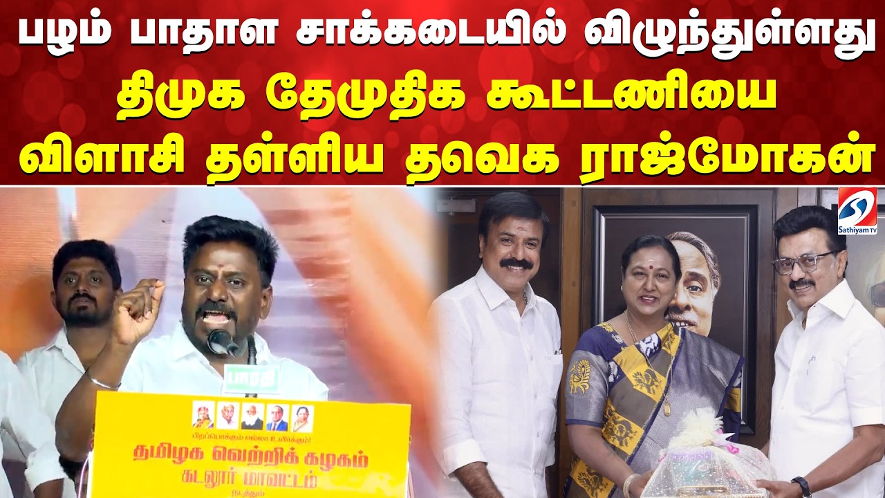 பழம் பாதாள சாக்கடையில் விழுந்துள்ளது - திமுக தேமுதிக கூட்டணியை விளாசி தள்ளிய தவெக ராஜ்மோகன்
