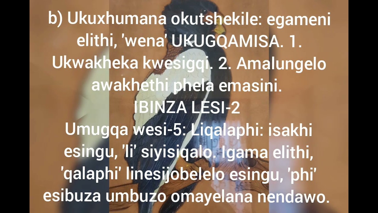 Inkondlo: Amalungelo: Ukuchaza amagama akhethiwe: IBINZA loku-1 nelesi-2.