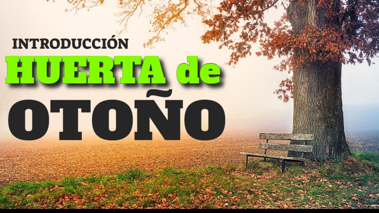 👉Qu&eacute; SEMBRAR en Oto&ntilde;o Huerta🥦🥬🧅🥕