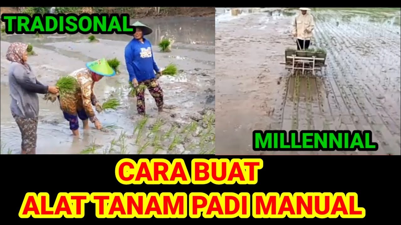 Membuat Alat Tanam Padi Manual Bag. 1#babinsabisa