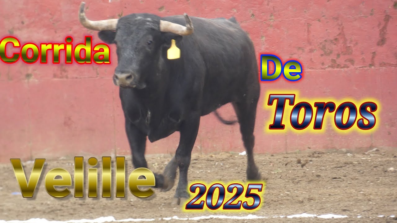 Corrida de toros inmaculada Concepción velille 2025 