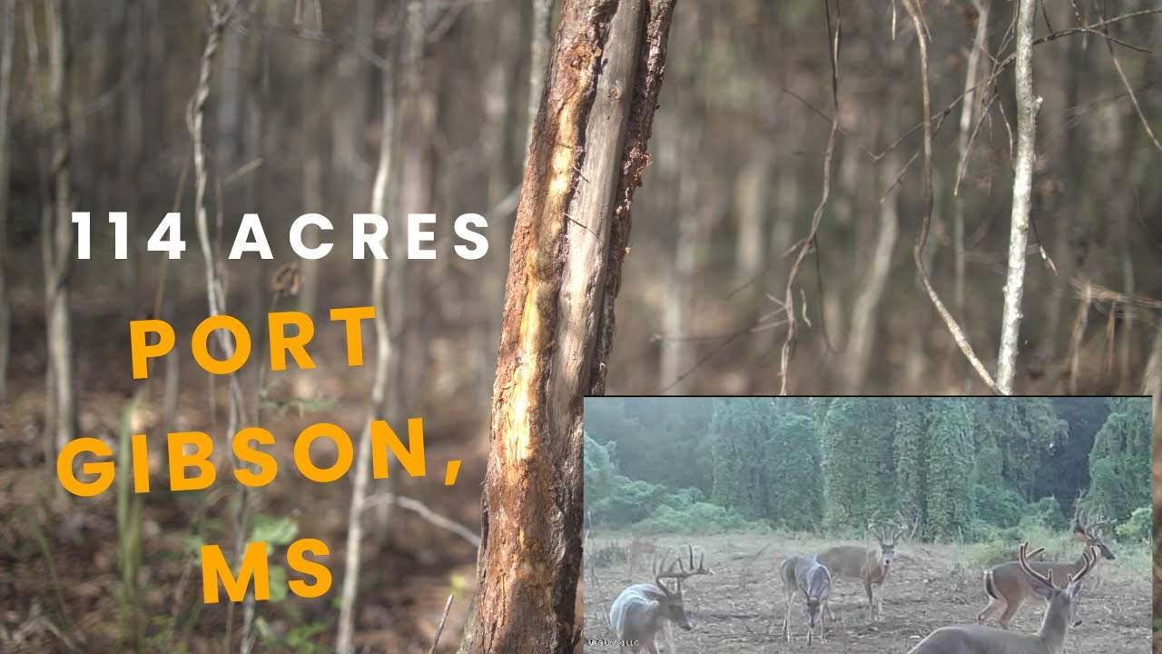 Hunting Land For Sale - 114 Acres w/Camp in Port Gibson, MS