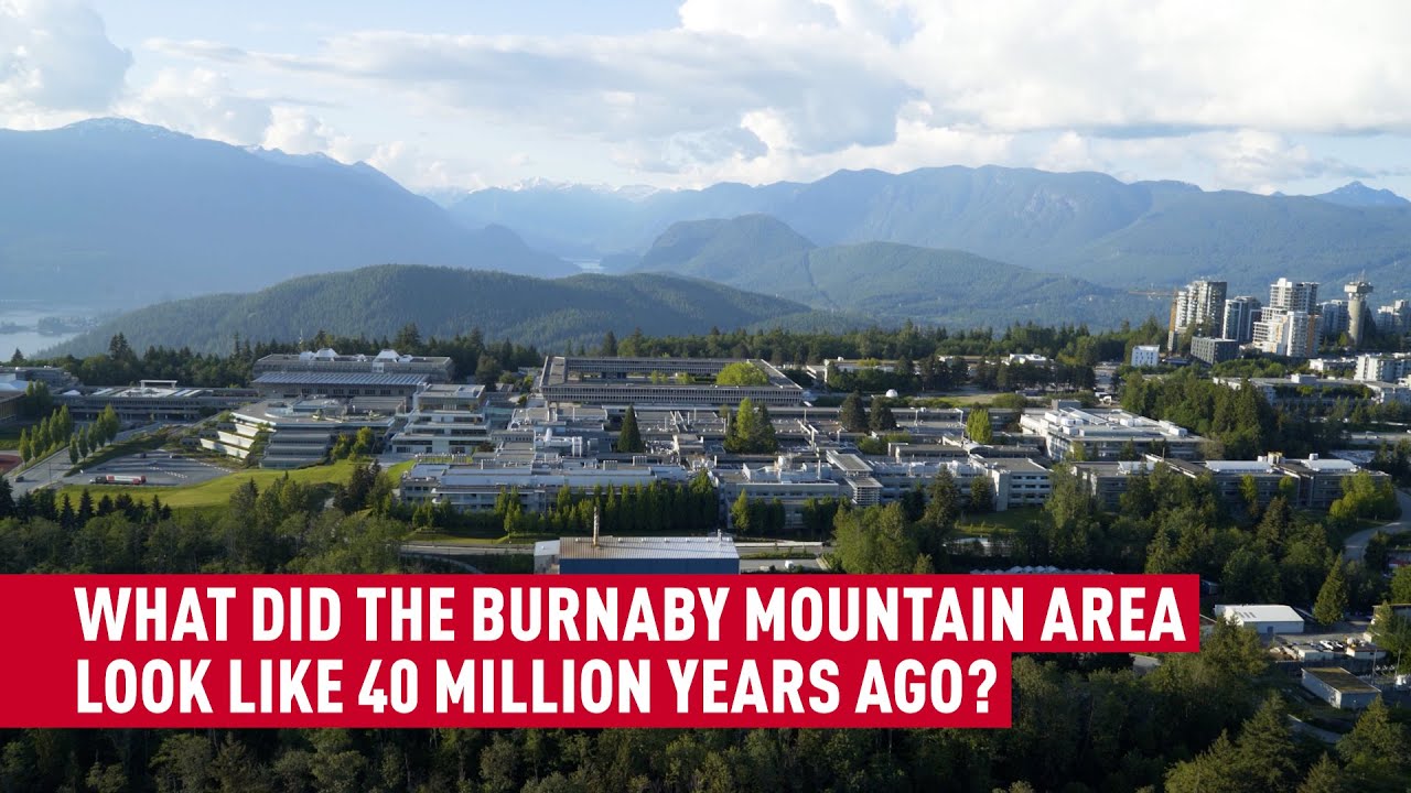 SFU professor unearths the ancient fossil plant history of Burnaby Mountain