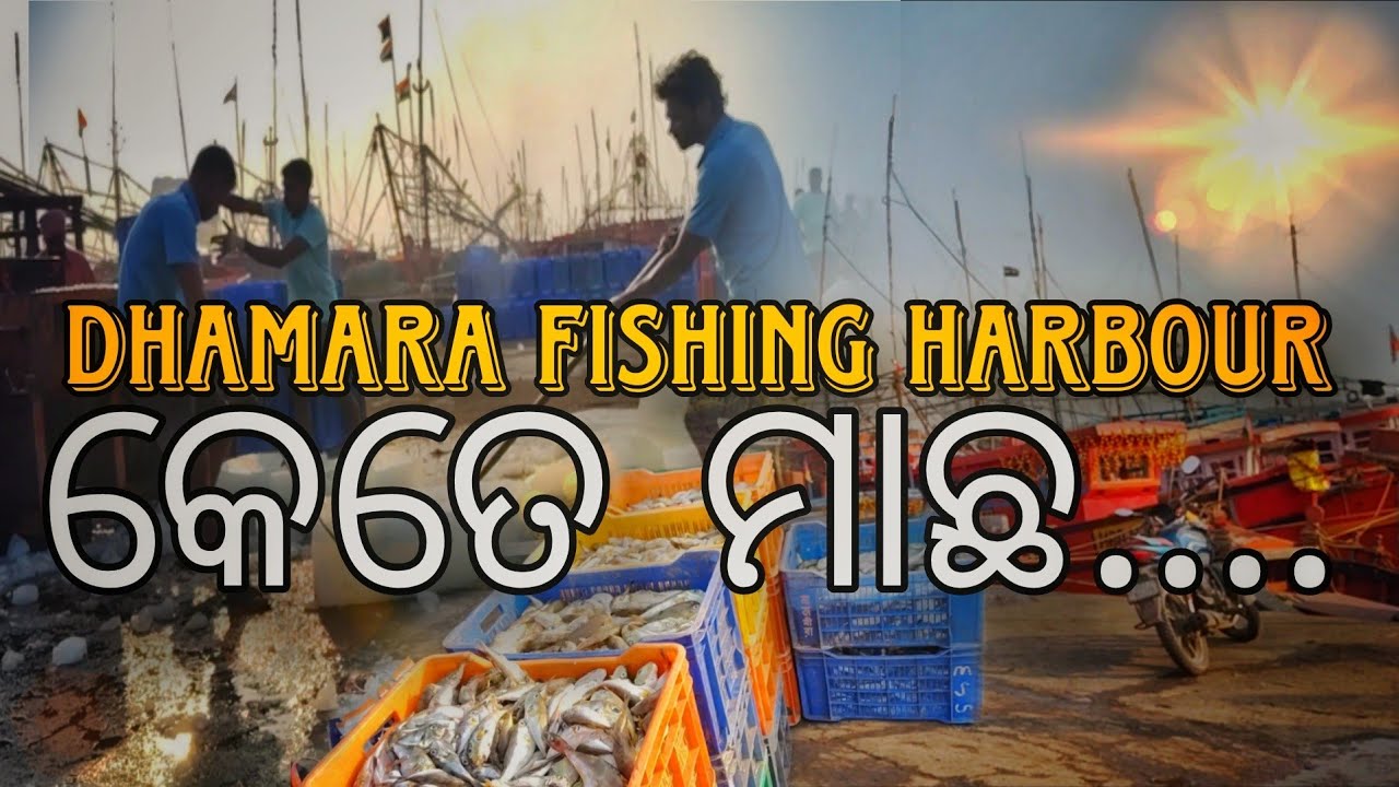 Maa Dhamarai || Dhamara Makar Mela 2026 (Part-2) || Dhamara Fishing Harbour #dhamara #fishingharbour