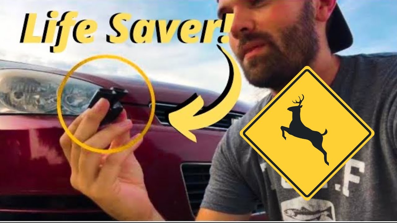 Deer Whistles Review: Saved My Parents Life!!!