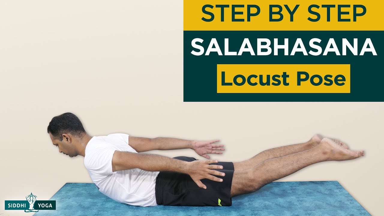 Locust Pose (Salabhasana Pose) Benefits, How to Do & Contraindications by Yogi Sandeep - Siddhi Yoga