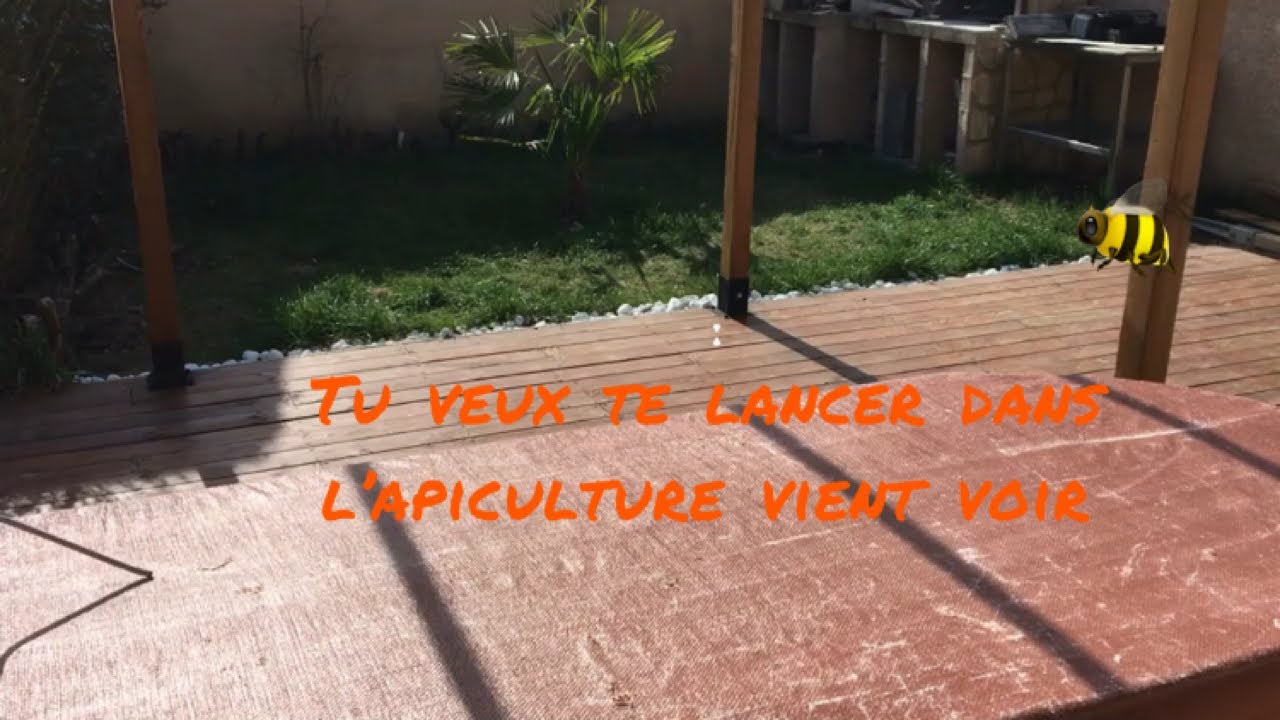 Si tu veux te lancer dans l’apiculture viens voir